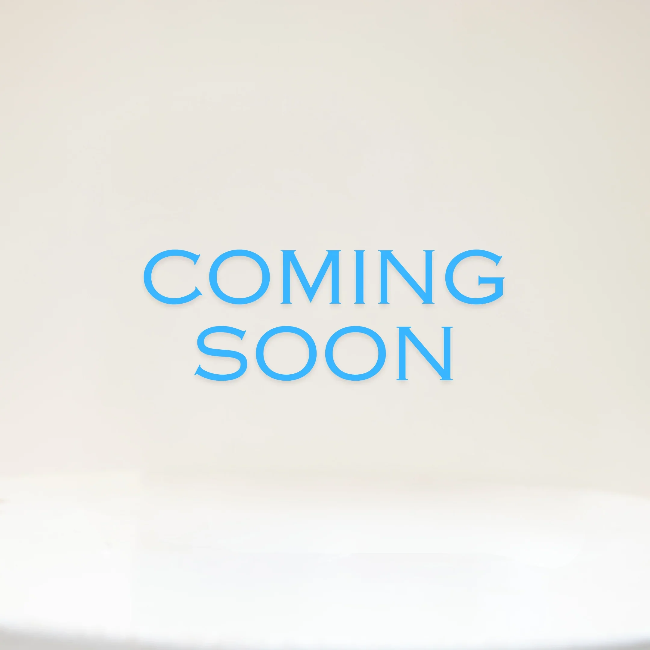 Stainless Steel Pro Filter