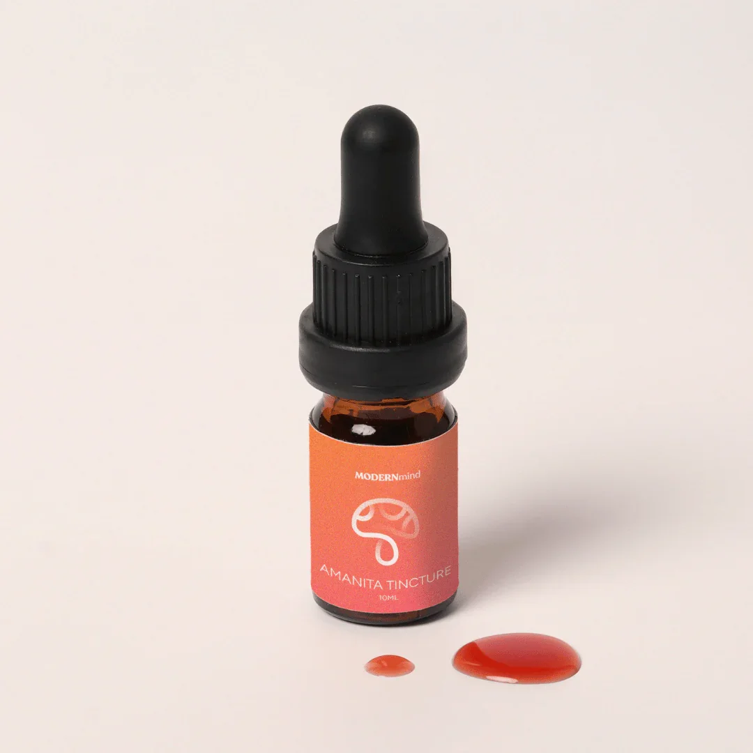 Fliegenpilz Microdosing Tinktur