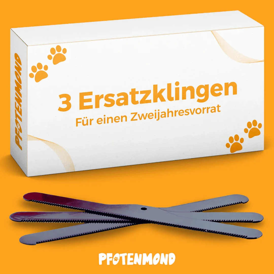 3 Ersatzklingen für die Bürste