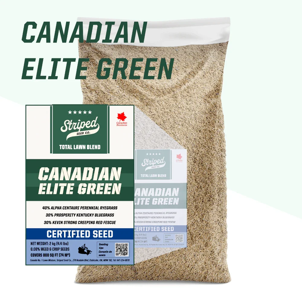 Canadian Elite Green Total Lawn Blend 🇨🇦