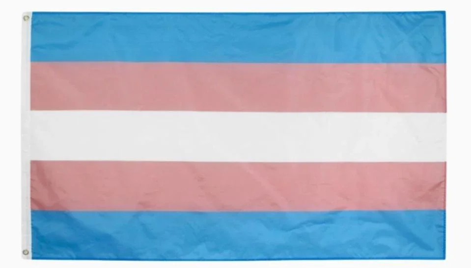 Transgender Pride Flag