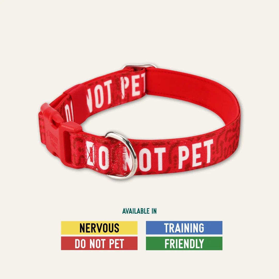 Awareness Collar