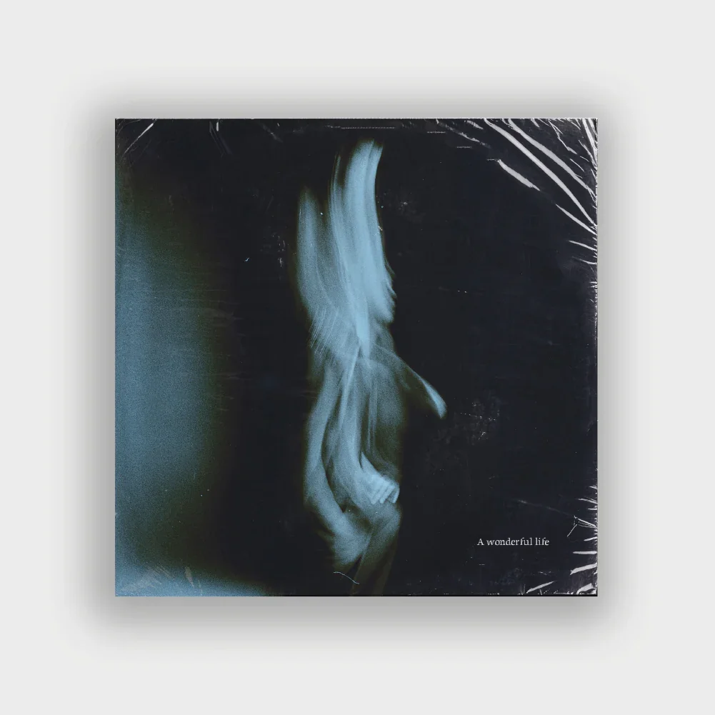 A Wonderful Life - Vinyl