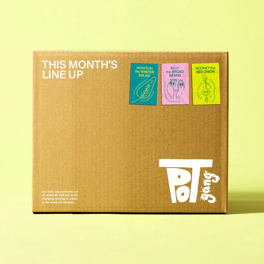 Honeycomb Tomatoes, Golden Courgettes, Spring Onions