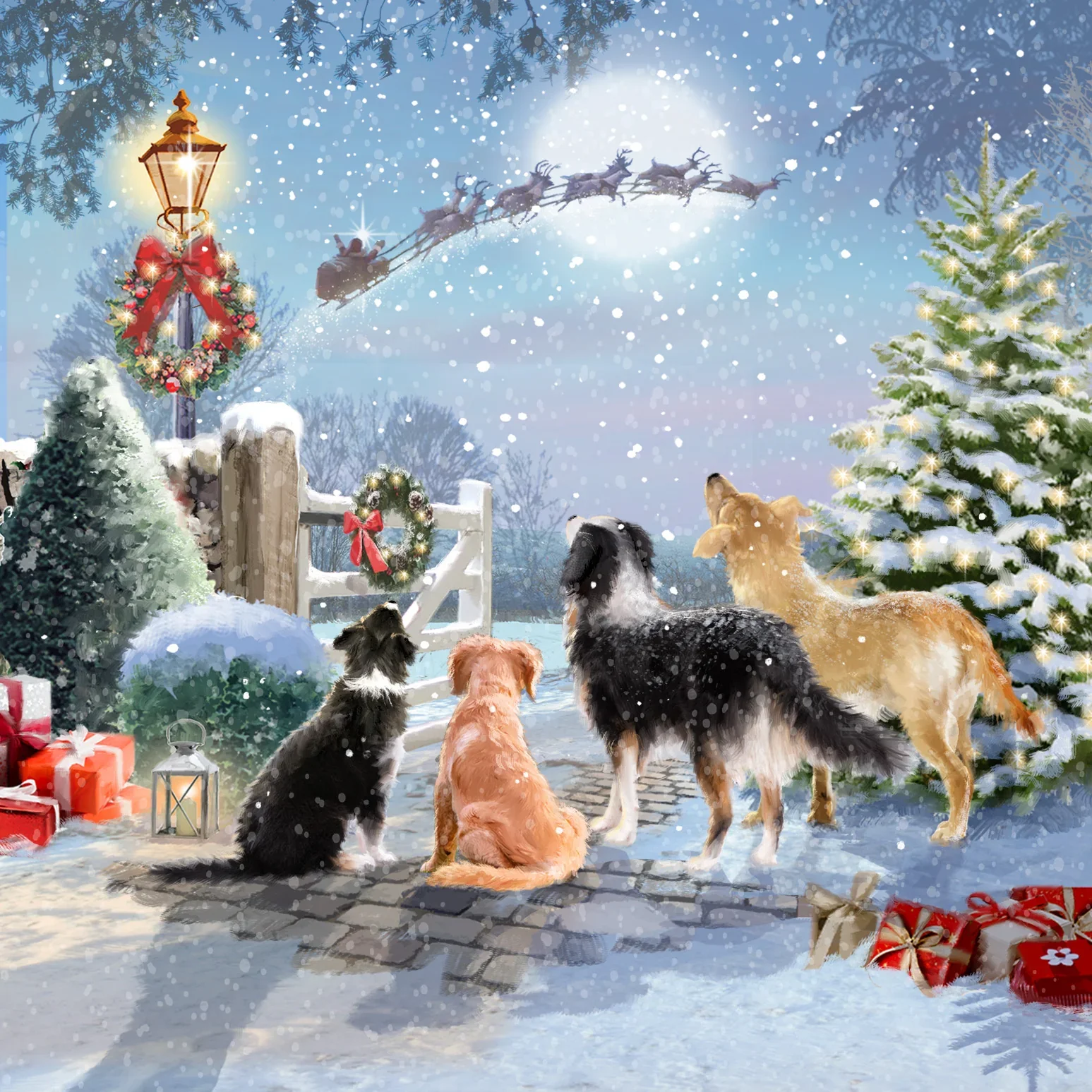 Charity Christmas Cards - Dogs 10pk