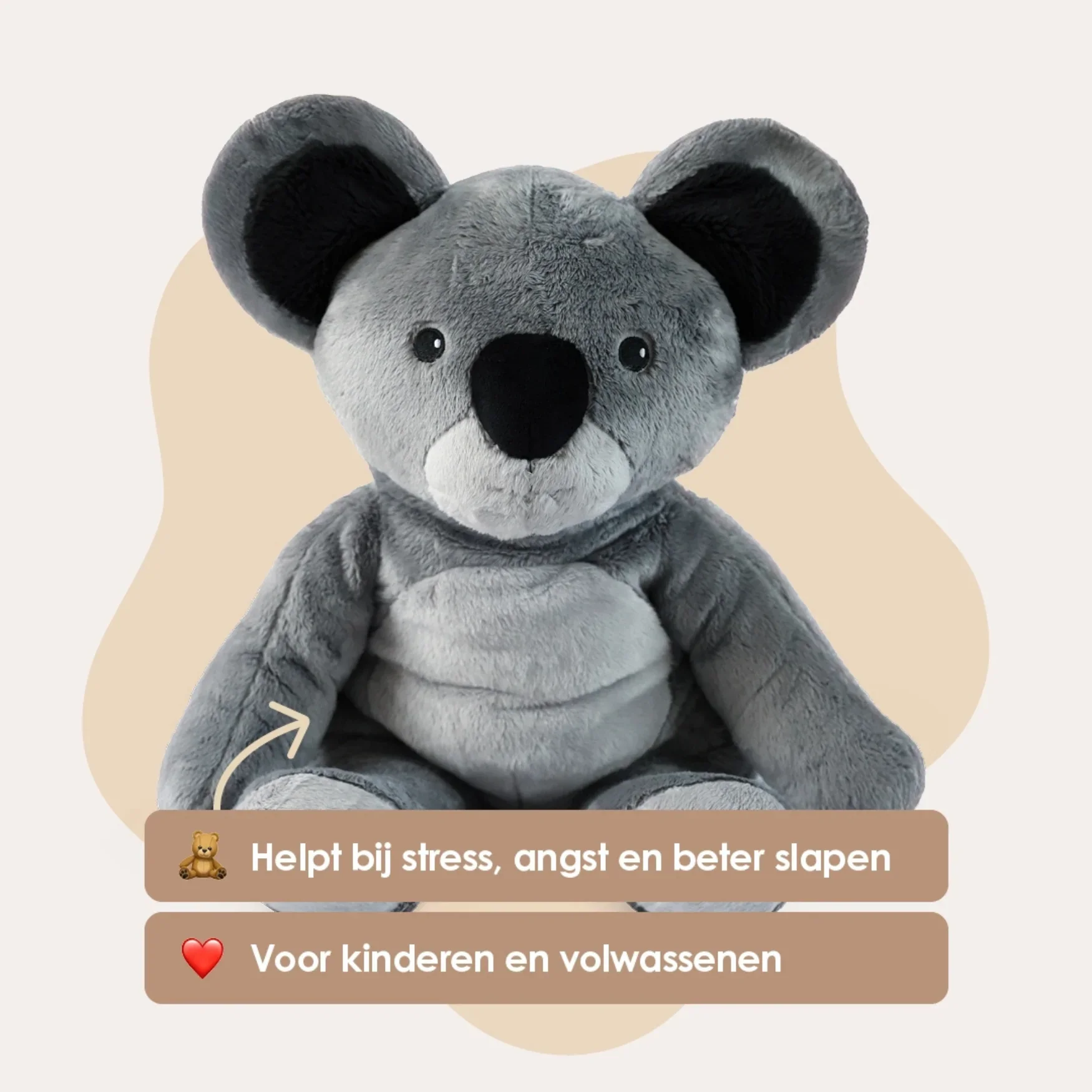 Lotgenootje Koala 2kg