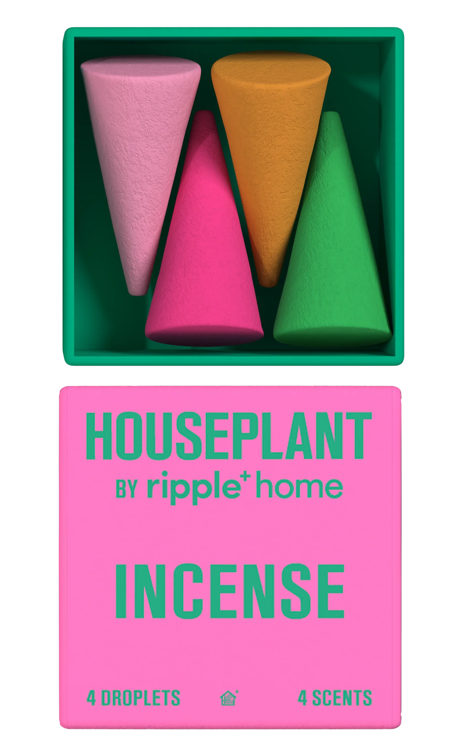 HOUSEPLANT MINI-PACK