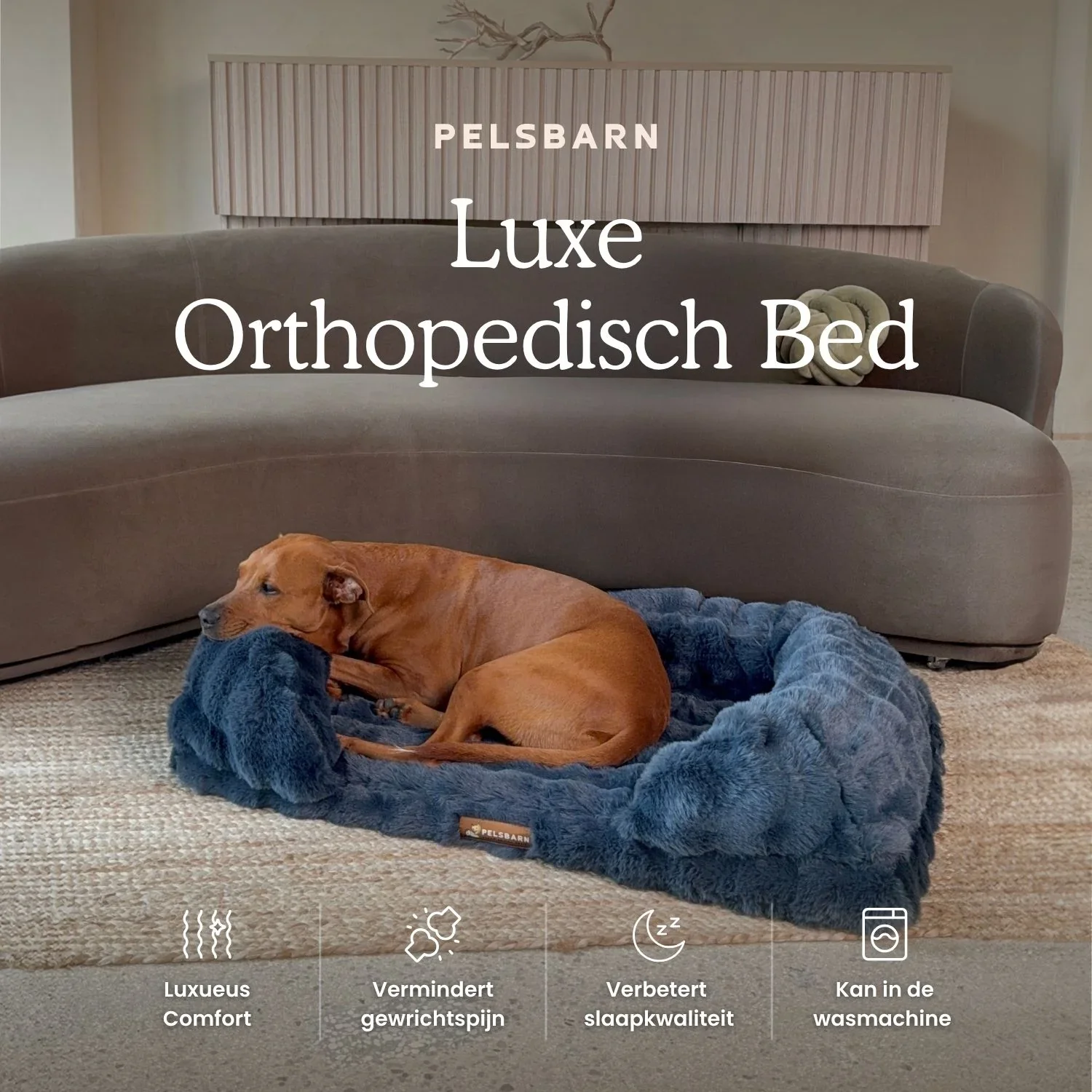 Luxe Orthopedisch Bed