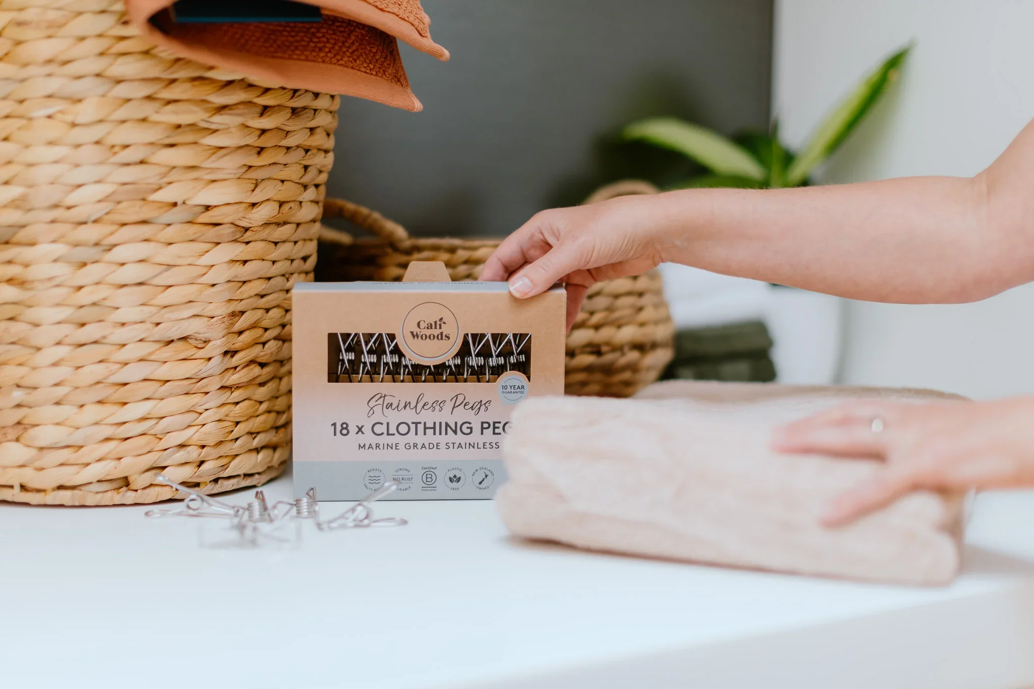 Stainless Clothing Pegs