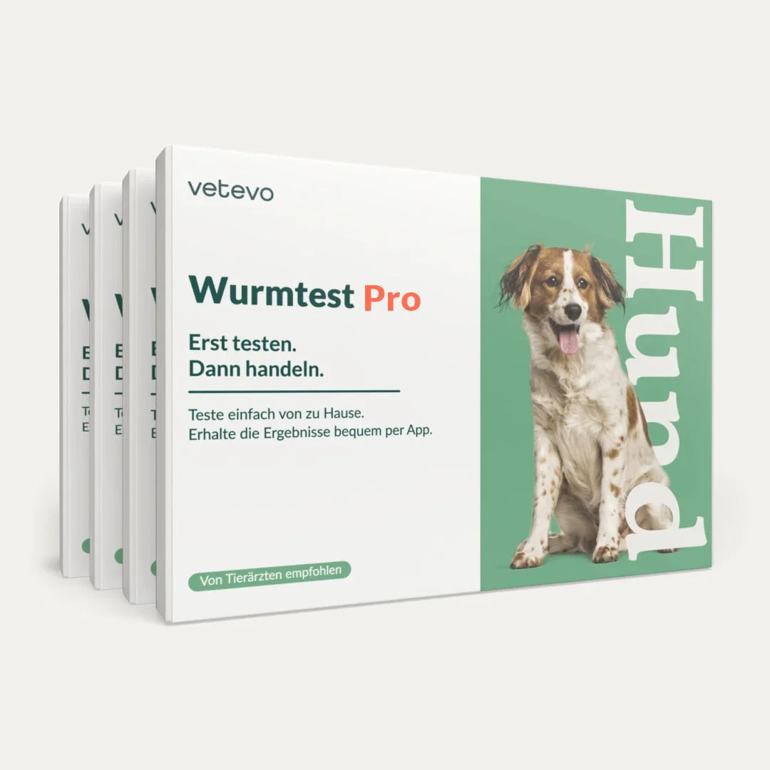 Wurmtest Pro Hund Sparpaket