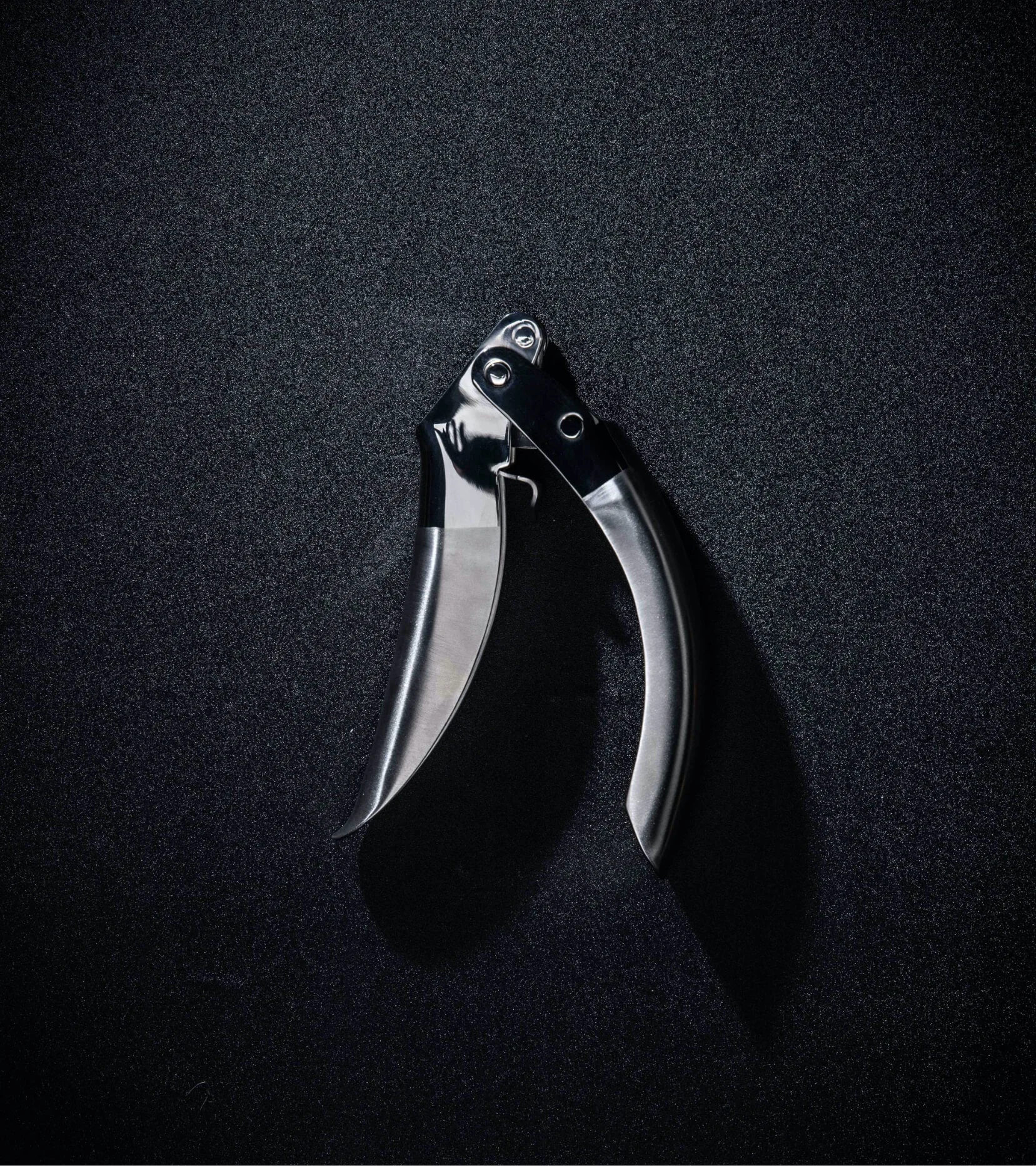 Stainless Steel Garlic Press