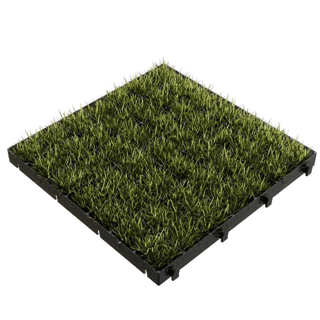 Grass Parking Grids