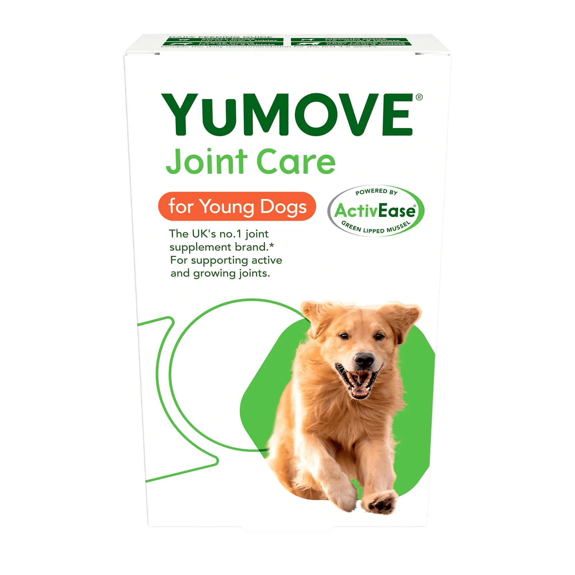 Joint Care for Young Dogs