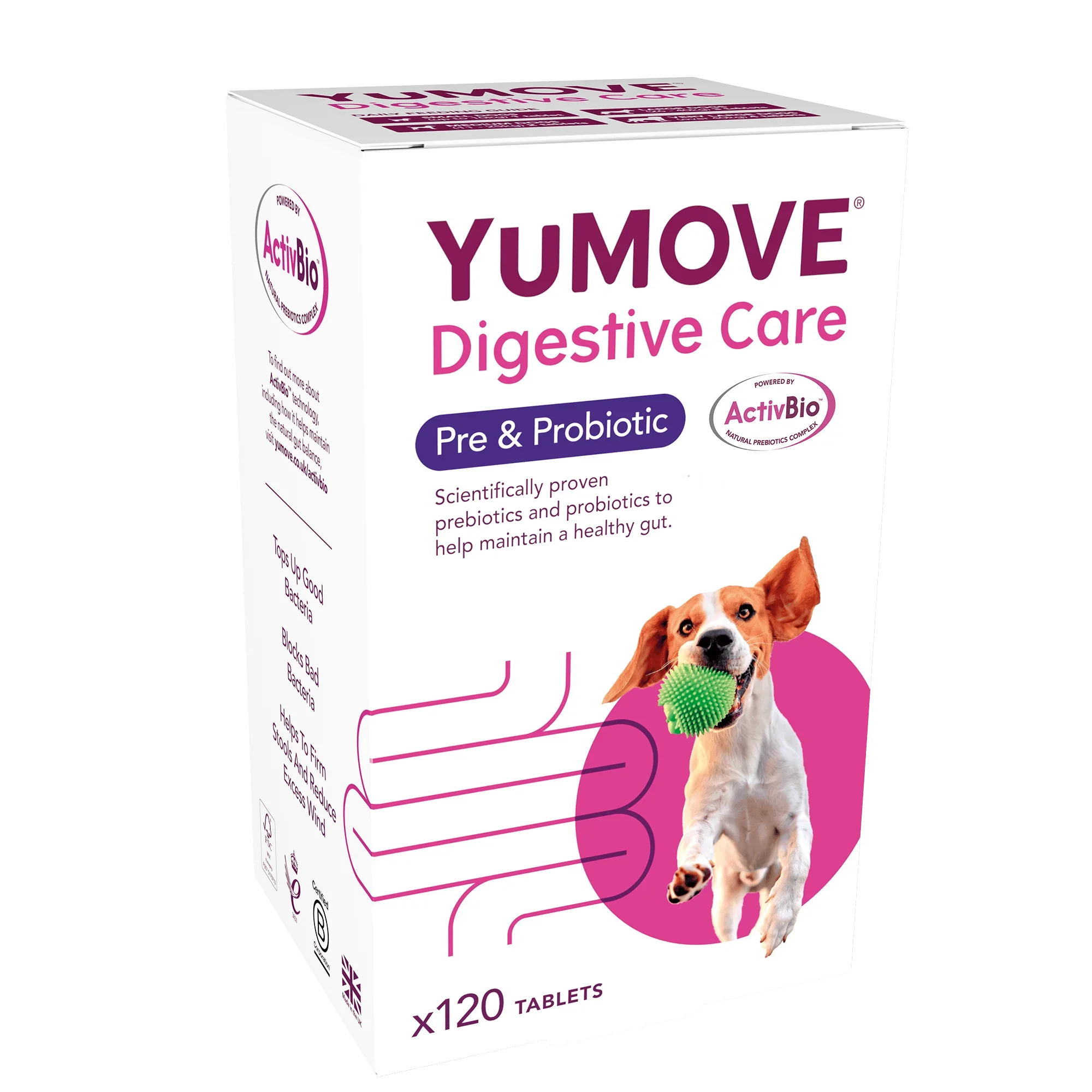 Digestive Care Prebiotic & Probiotic Tablets