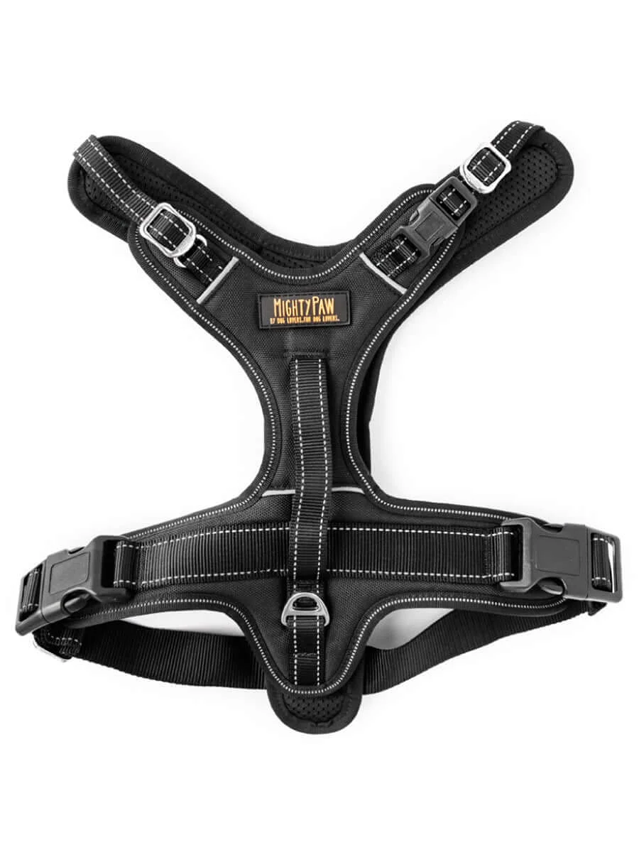 Sport Dog Harness 2.0