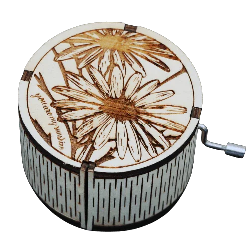 You are my Sunshine Music Box