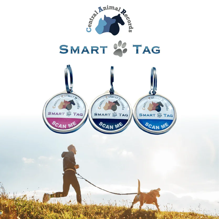 SMART Tag - $19.99