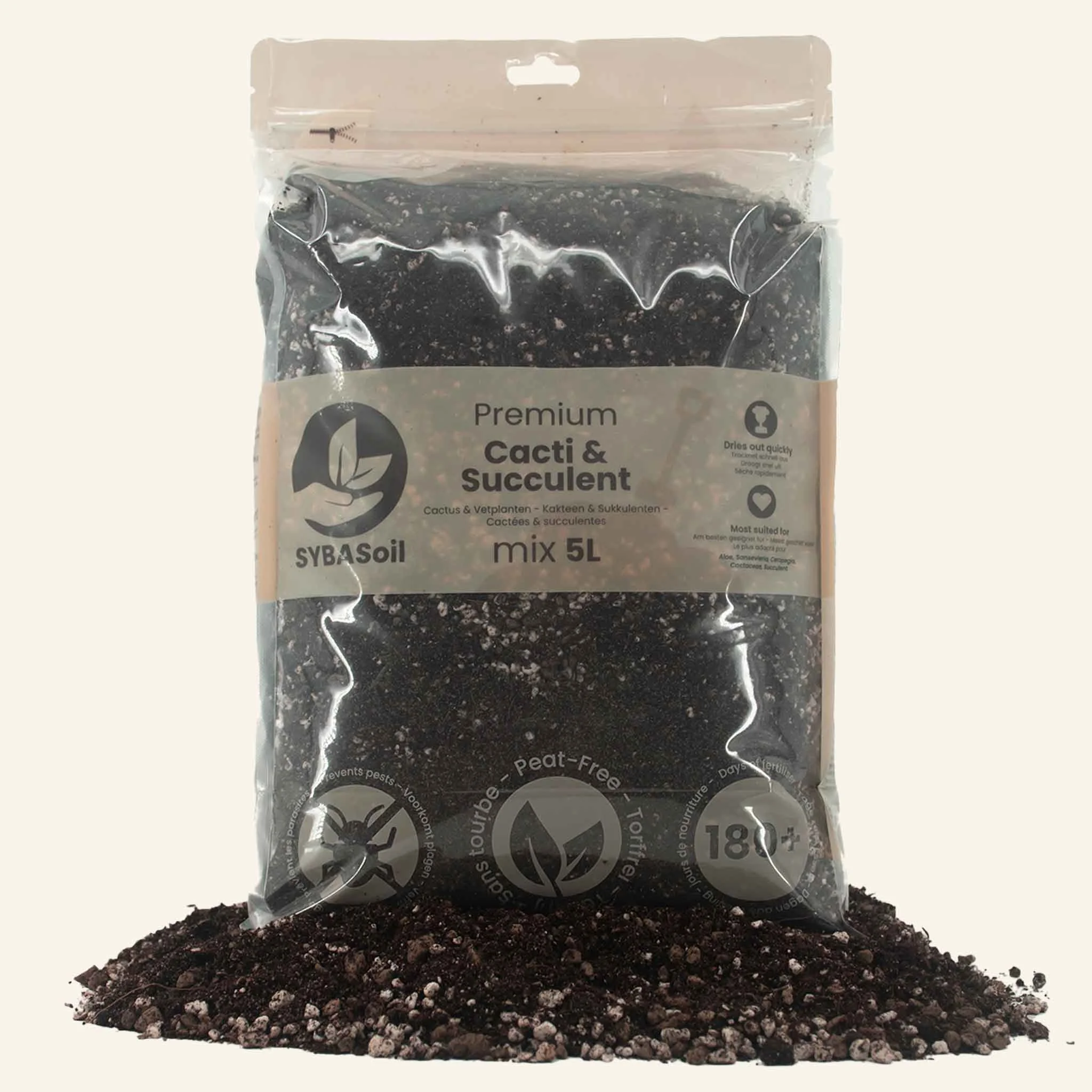 Terreau cactées et succulentes