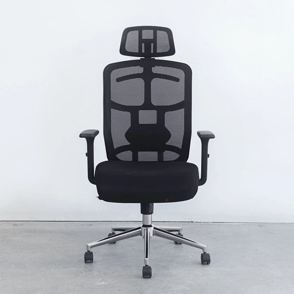 Motion SkyMesh Ergonomic Office Chair