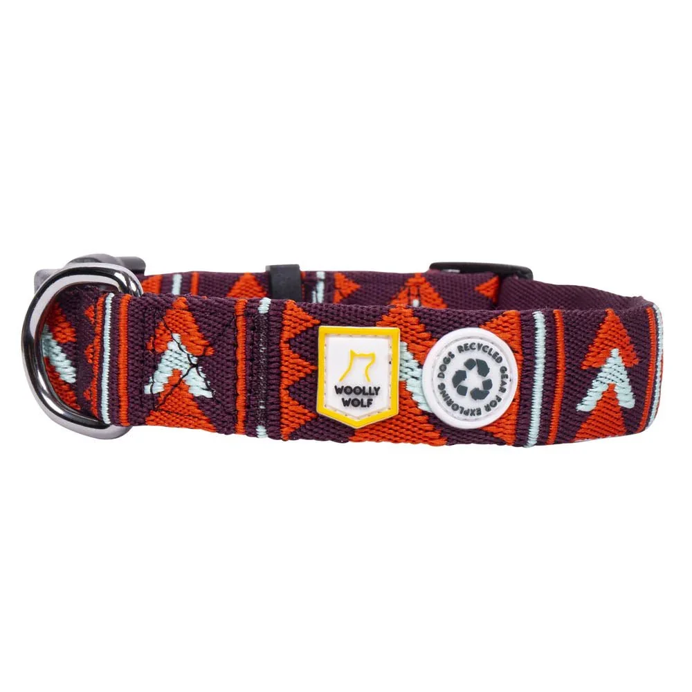 Polar Night Dog Collar