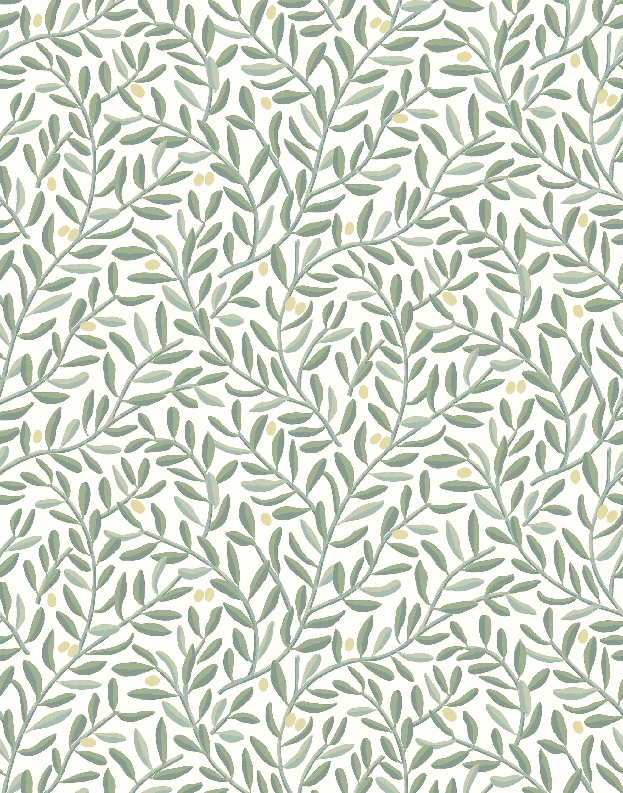 Olive Grove Wallpaper