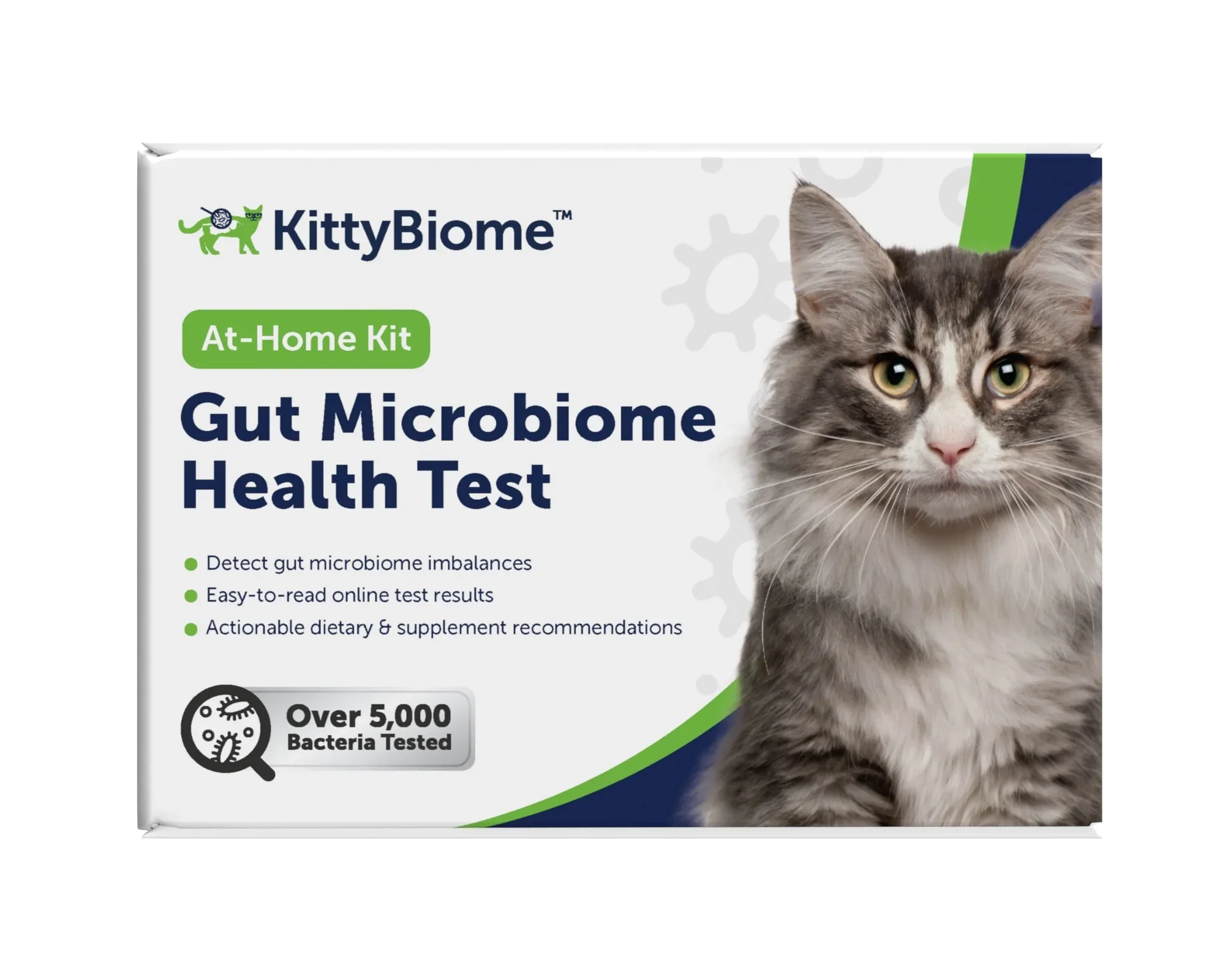 Gut Microbiome Test for Cats