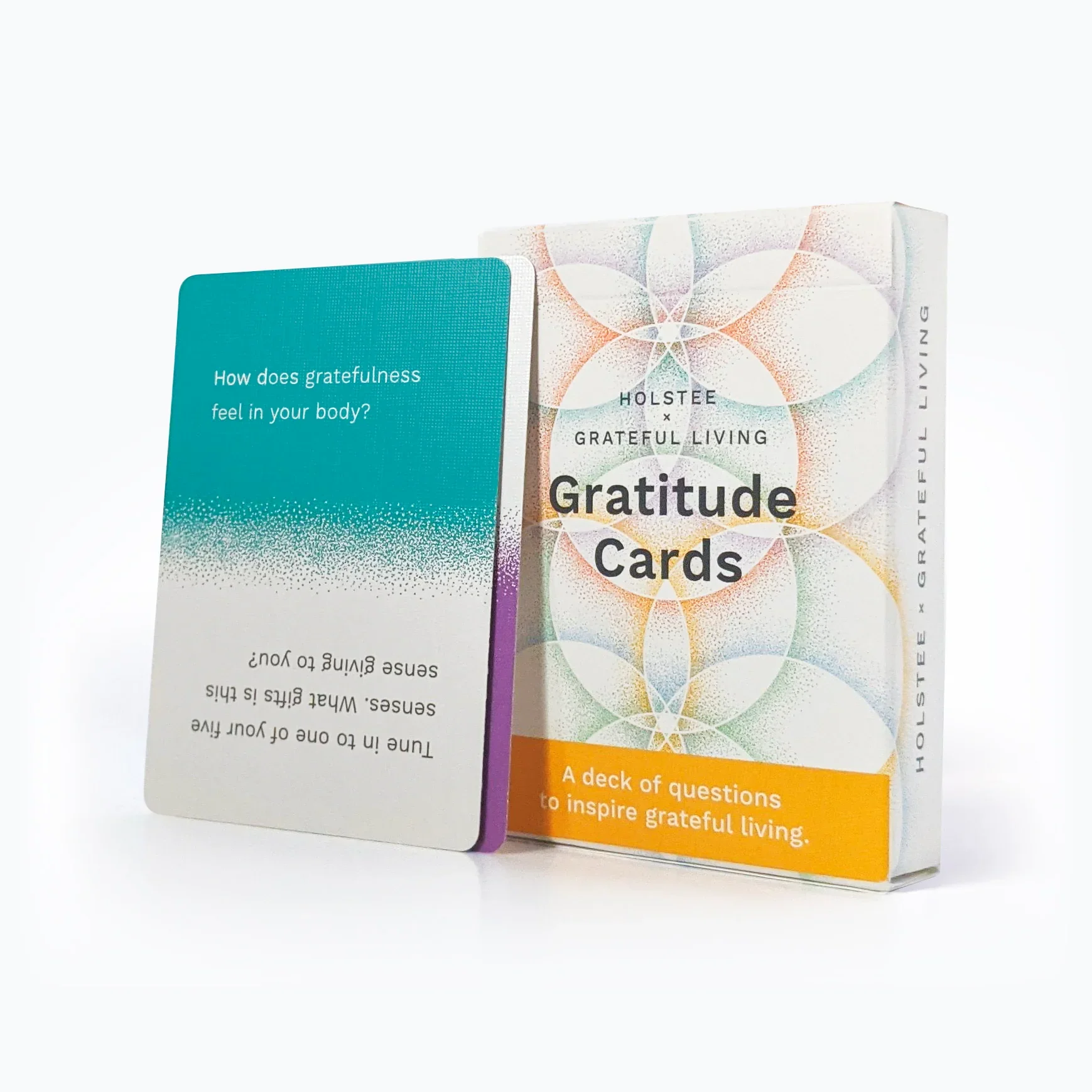 Gratitude Cards