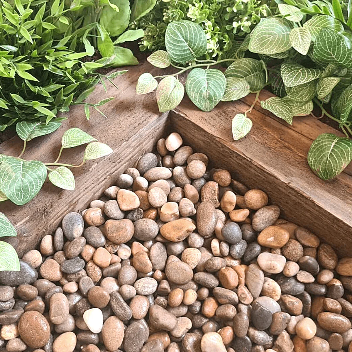 Scottish Pebbles 14-20mm