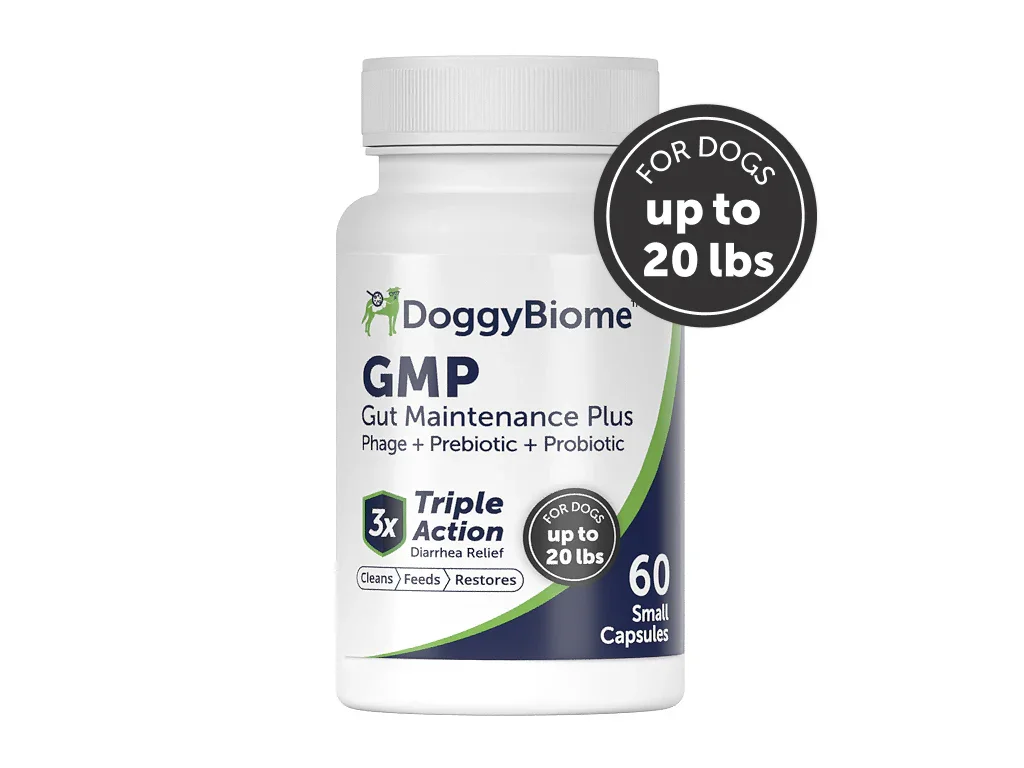 Gut Maintain for Dogs
