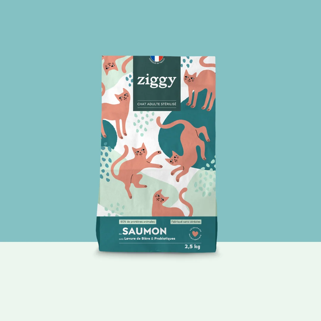 Croquettes Chat Stérilisé Sans Céréales - Saumon