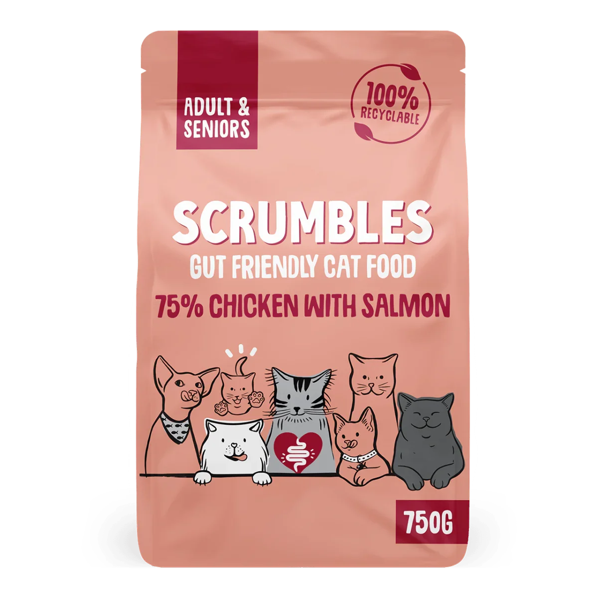 Chicken & Salmon Dry Cat Food