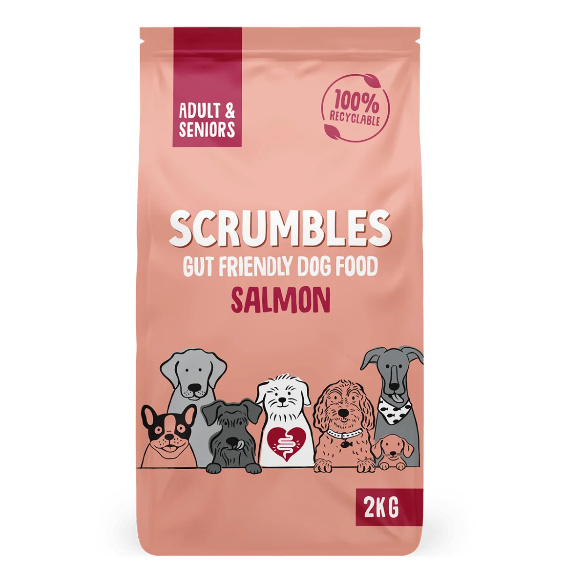 Salmon Dry Dog Food