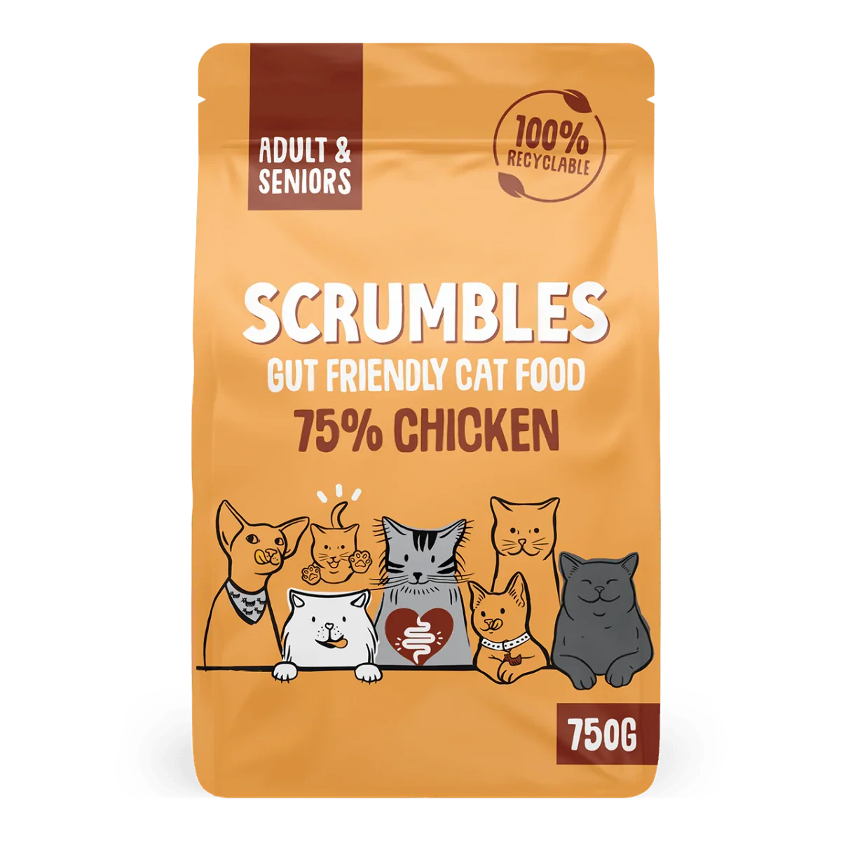 Chicken Dry Cat Food