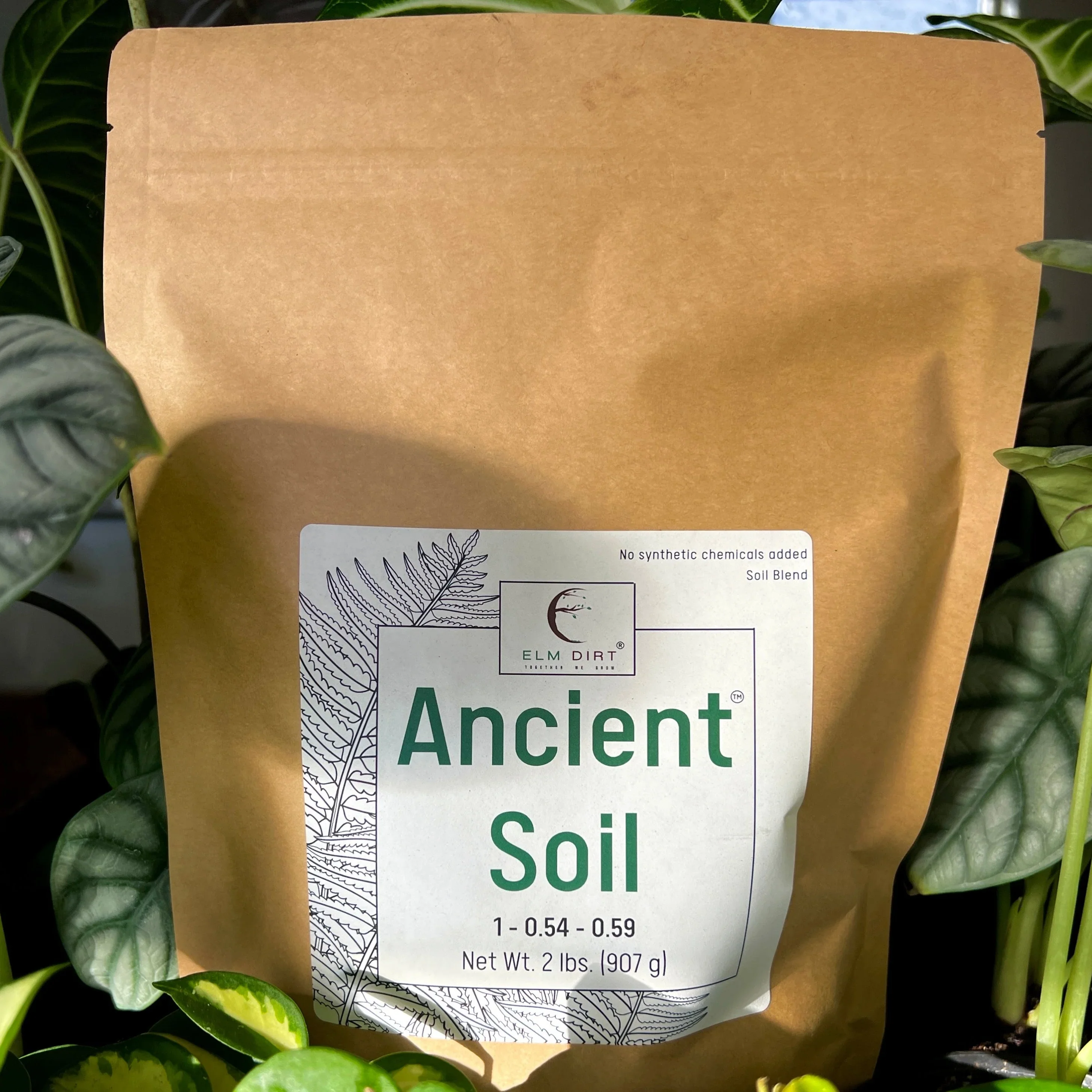 Ancient Soil Organic Living Soil
