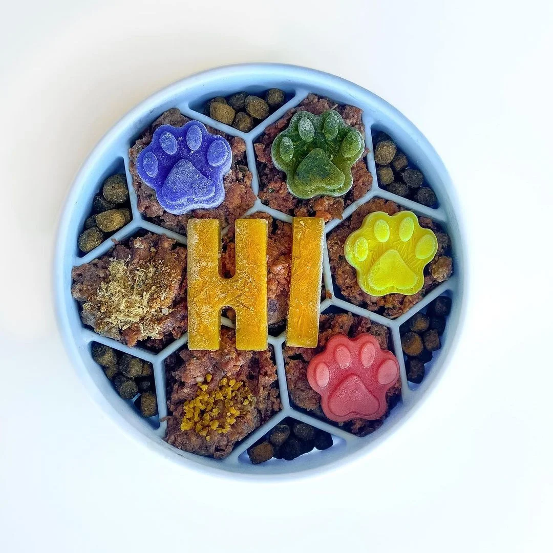 Slow Feeder Dog Bowl