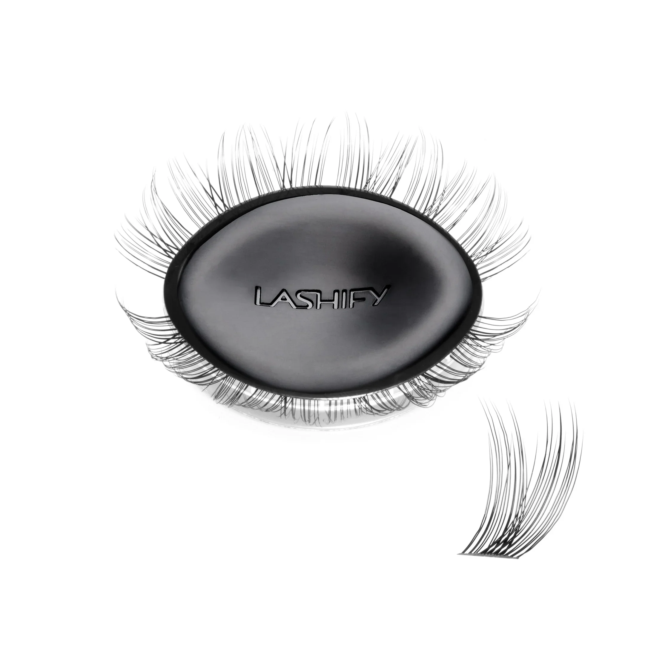 Tulip Gossamer® Lash