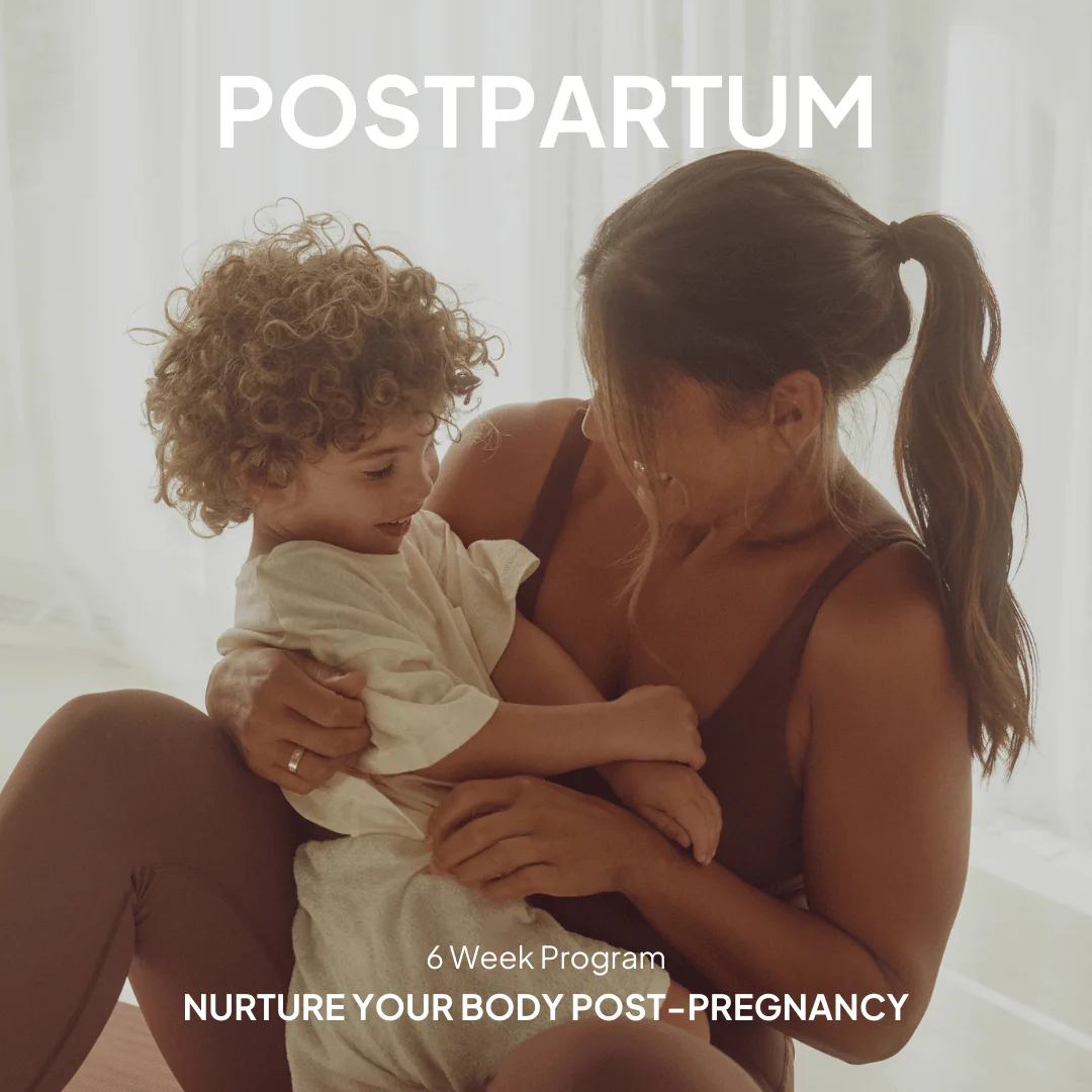 Postpartum Program