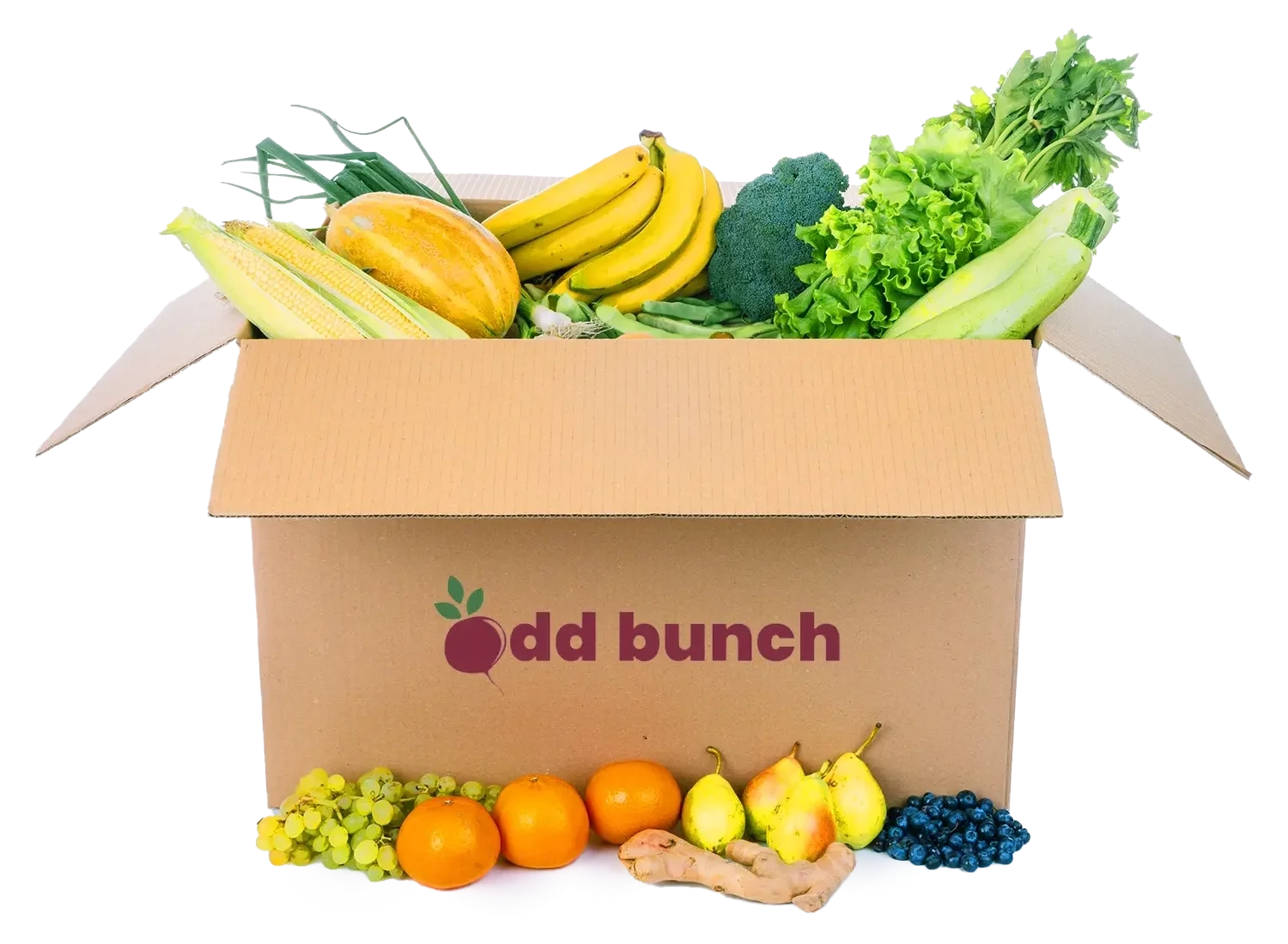 Large Box (Mixed)