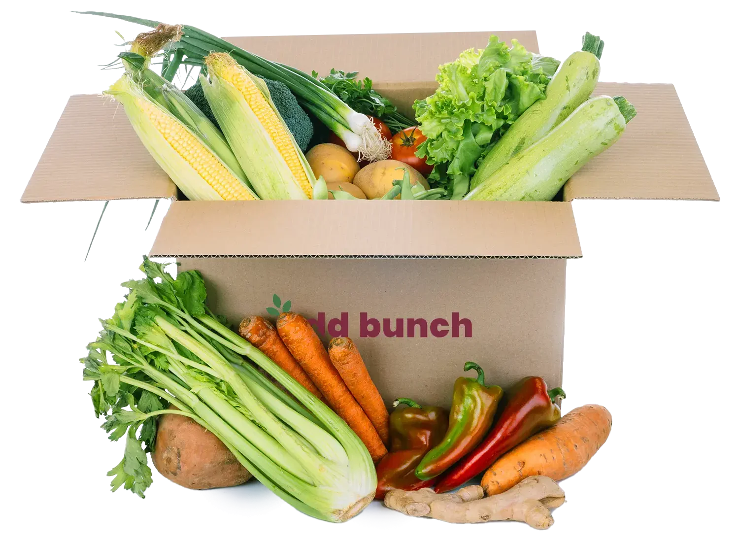 All Veggie Box