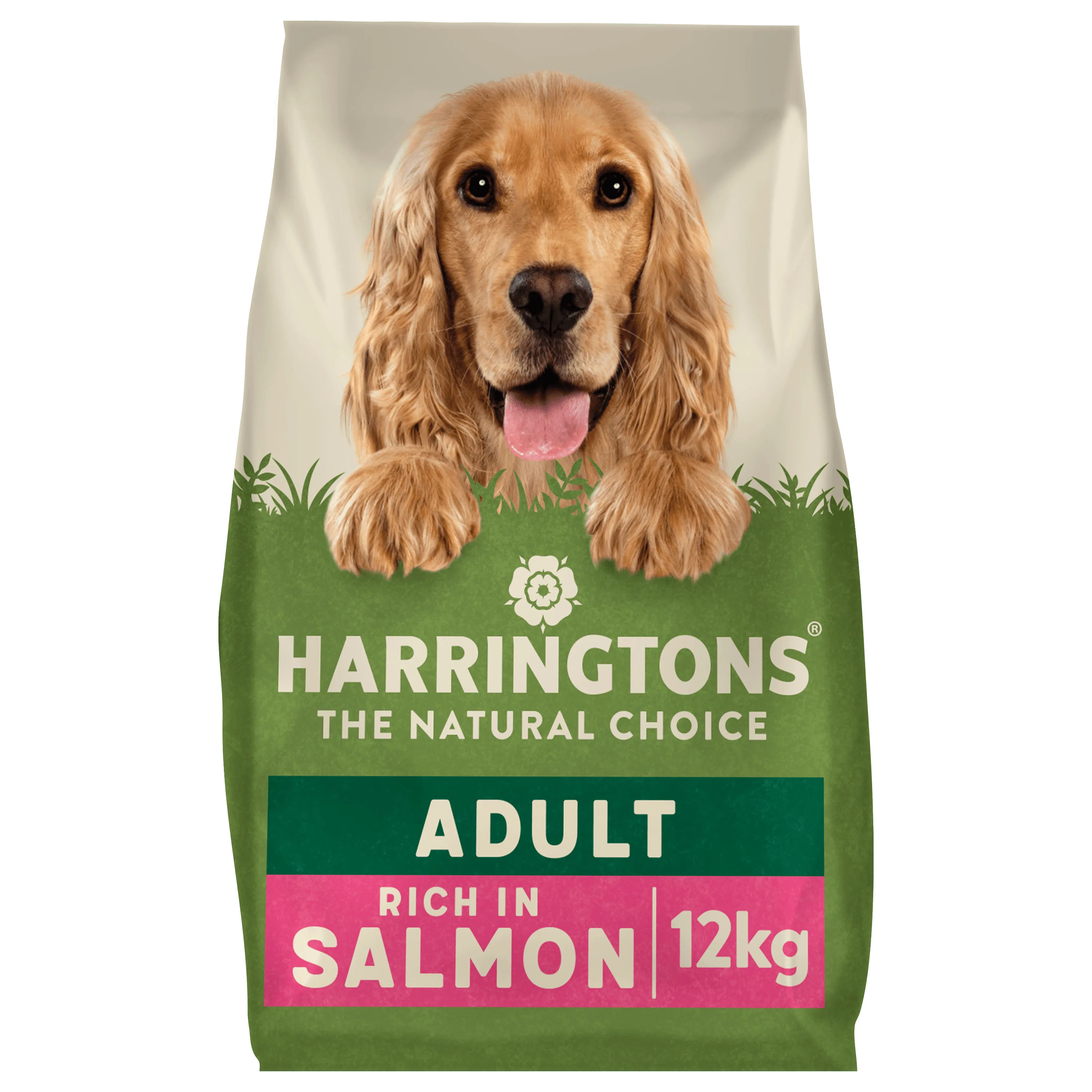 Dry Adult Dog Food Rich in Salmon & Potato 12kg