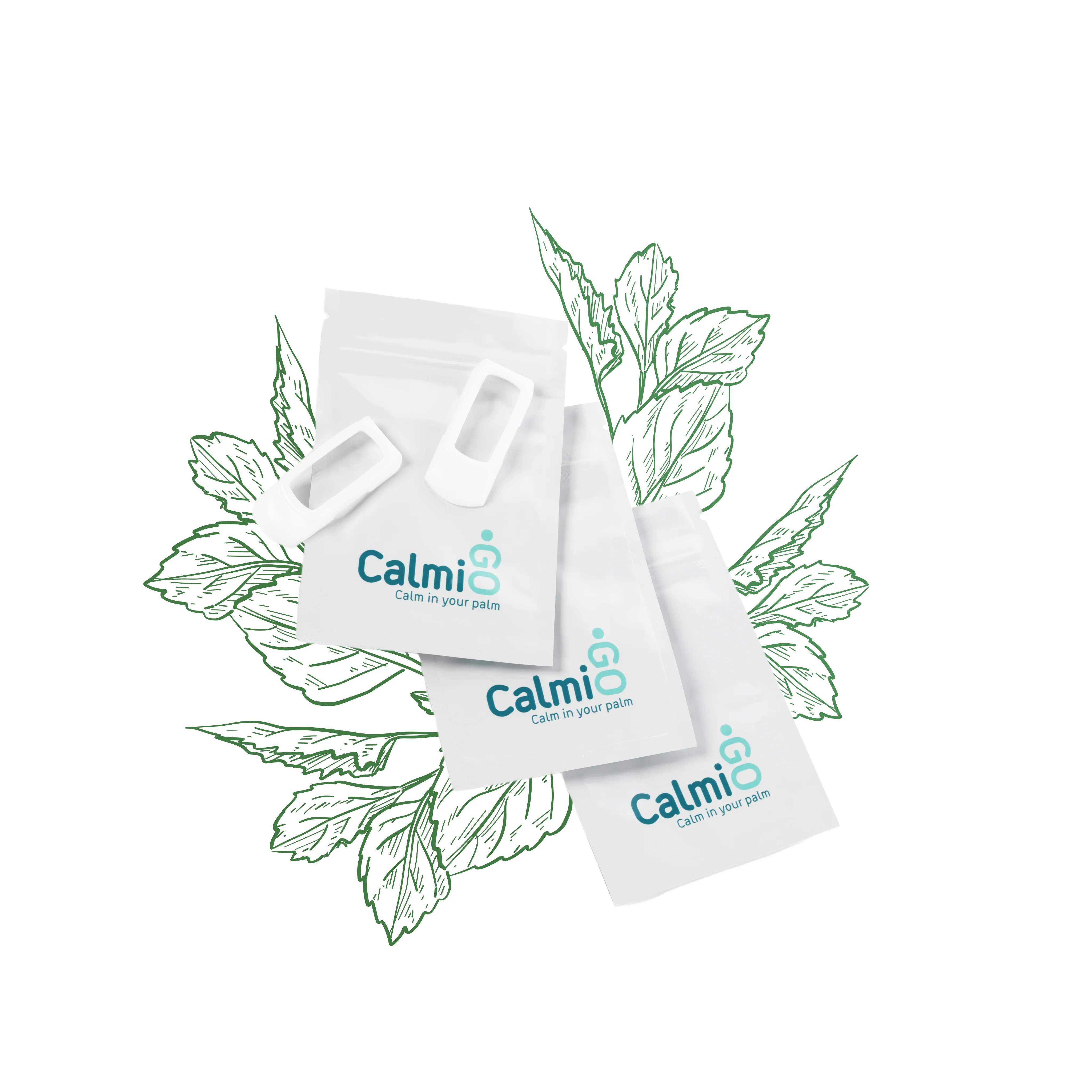 Scented Plates for 12 Months