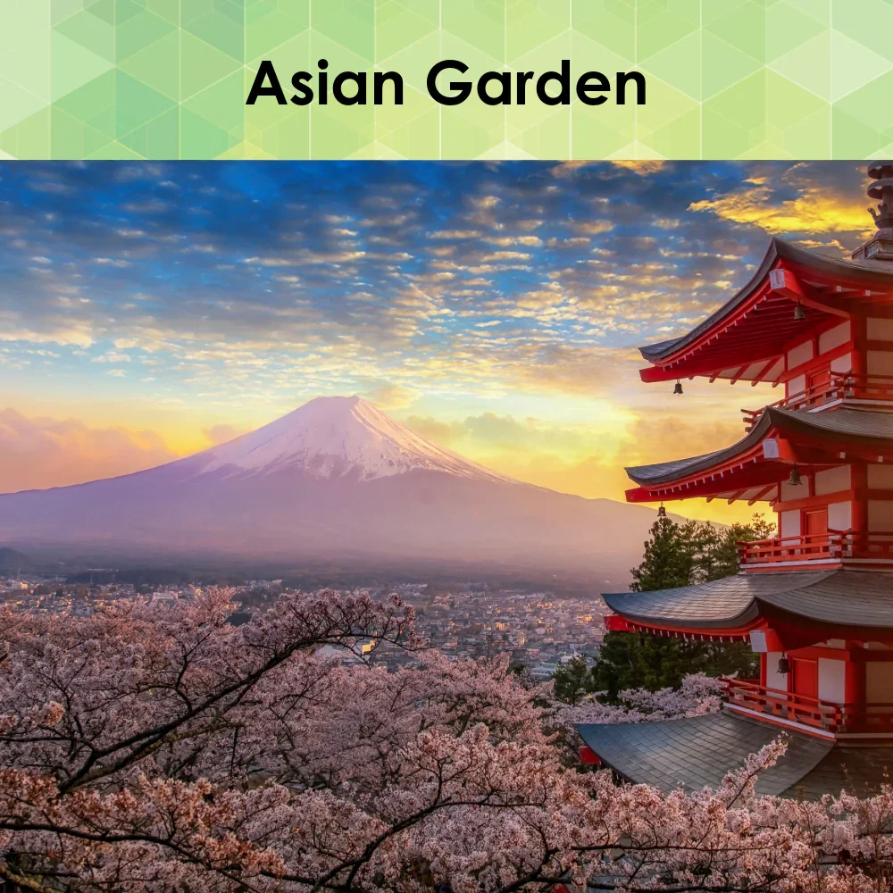 Asian Garden - Resorts Collection