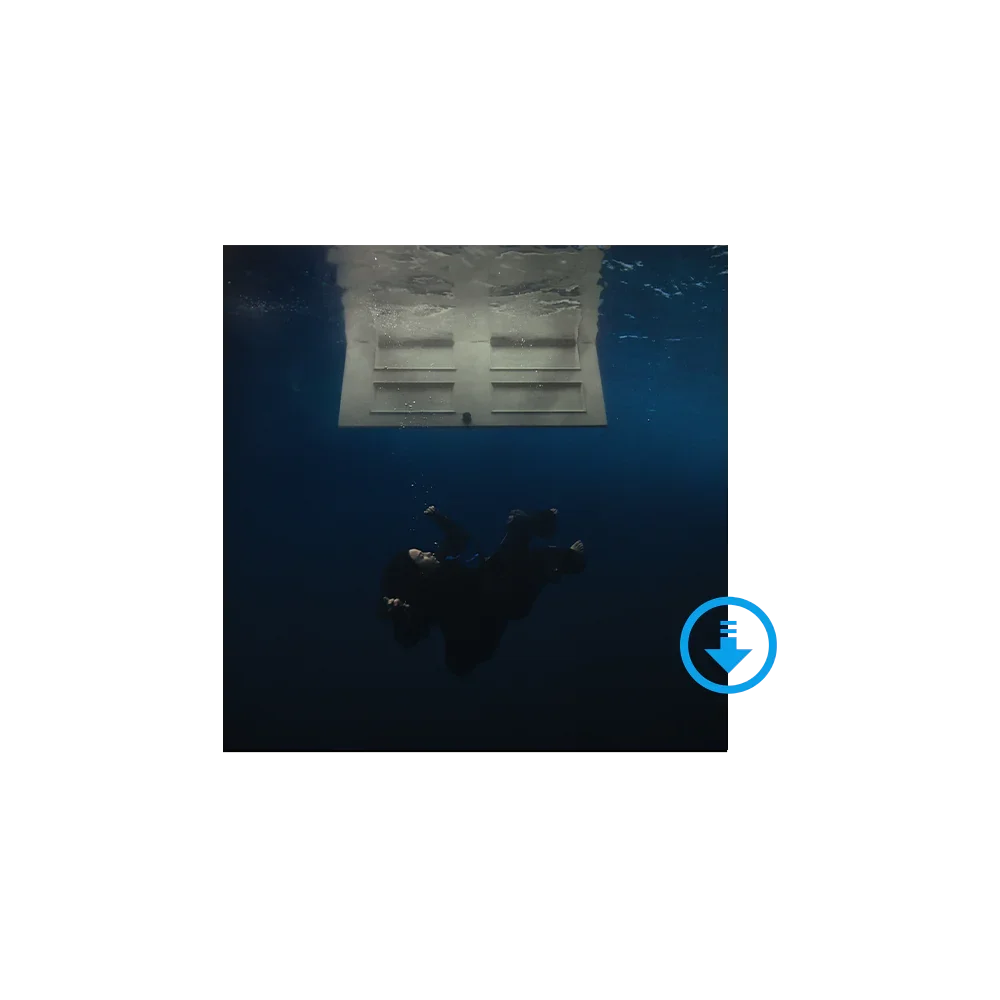HIT ME HARD AND SOFT - EXCLUSIVE DIGITAL ALBUM (WITH ALL ISOLATED VOCALS)