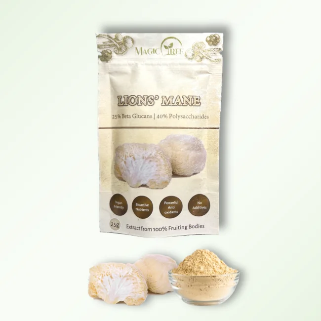 Lion's Mane Mushroom