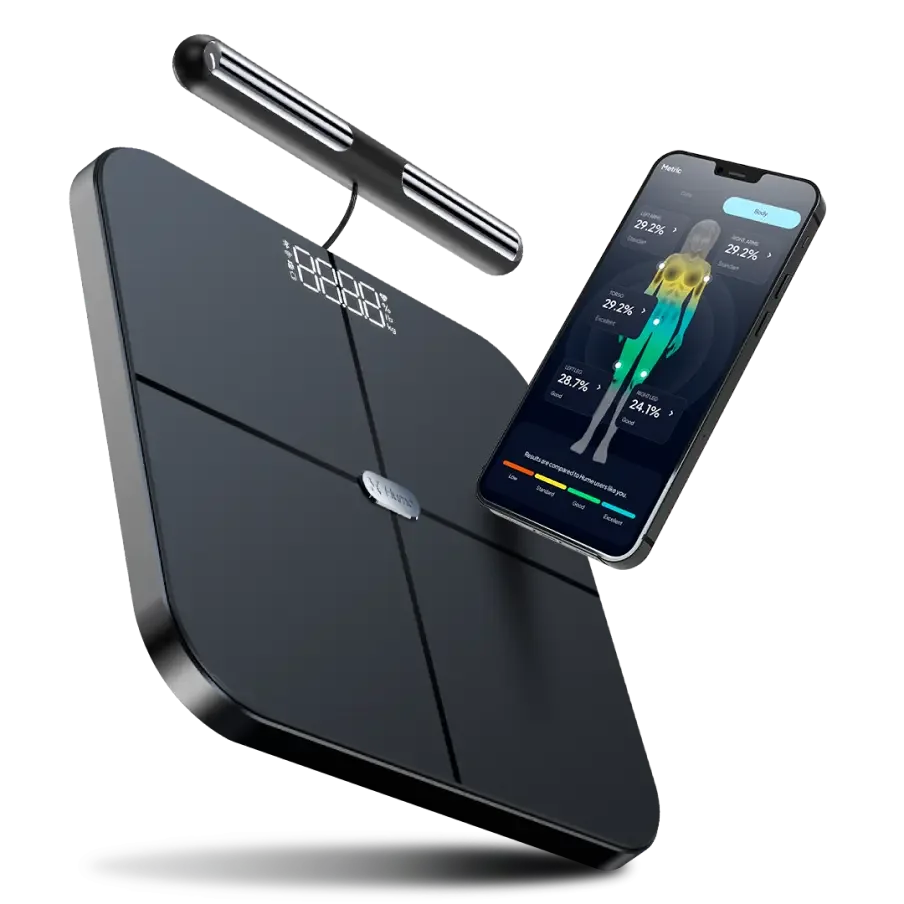 The Body Pod + Lifetime