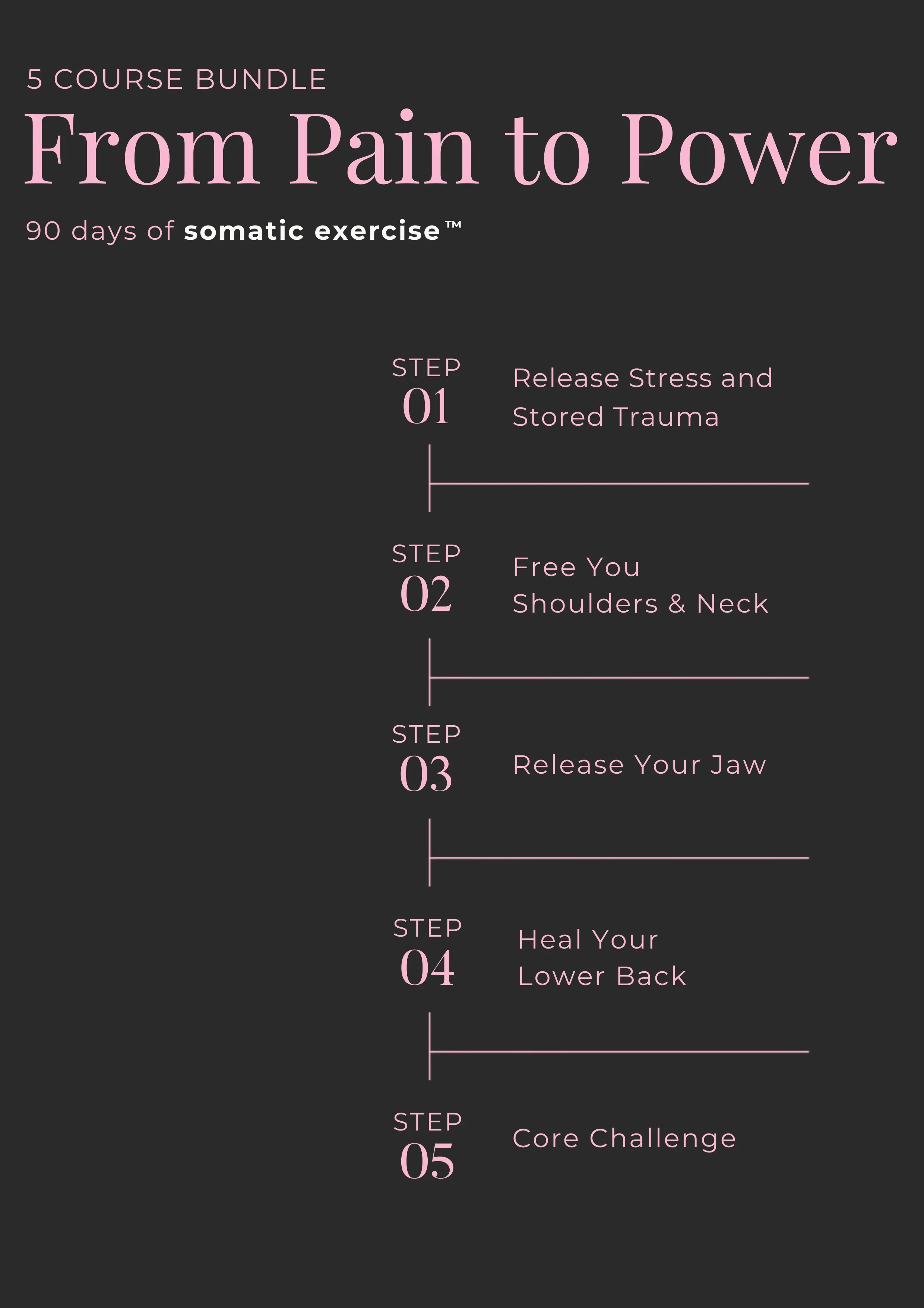 From Pain To Power with The 5 Course Bundle