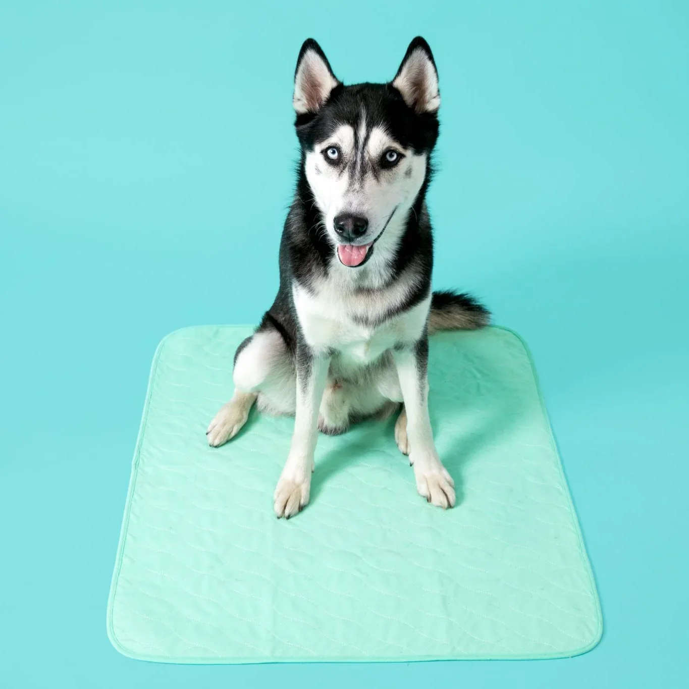 Potty Buddy - Dry Guard™ Potty Pads