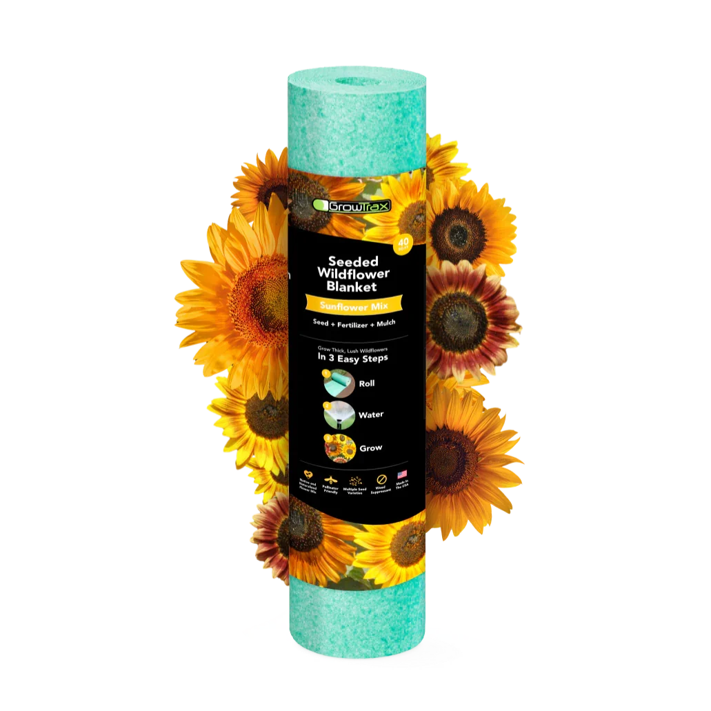 Sunflowers Wildflowers