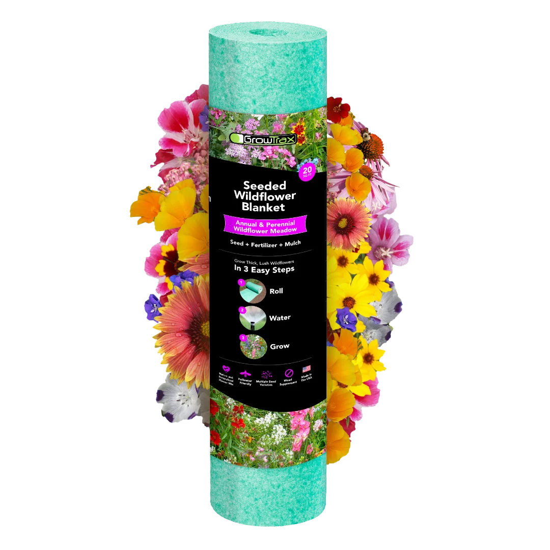 Annual & Perennial Wildflower Meadow