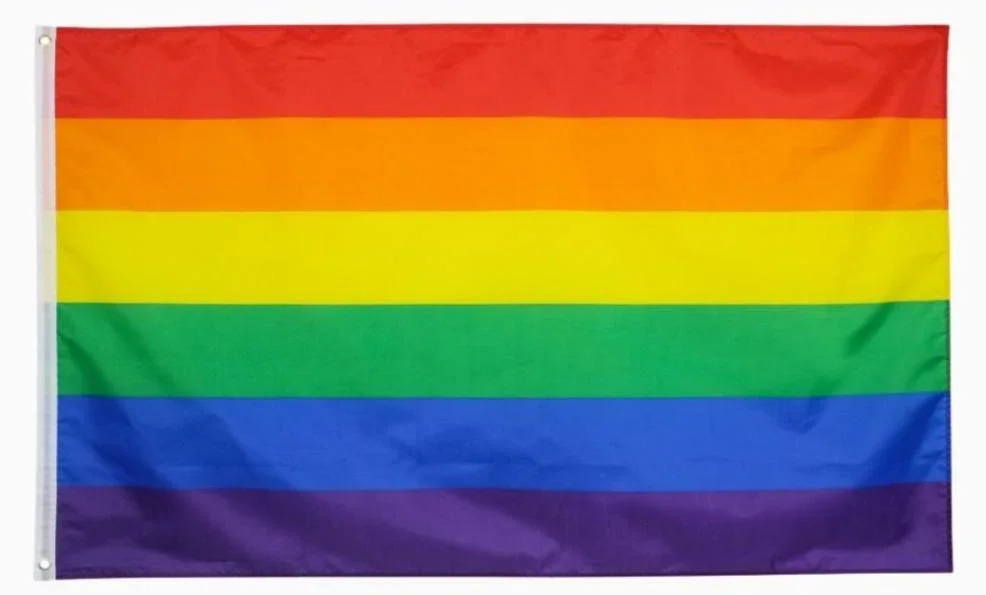 LGBTQ+ Pride Flag